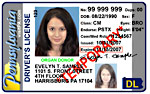 Temporary Driver's License